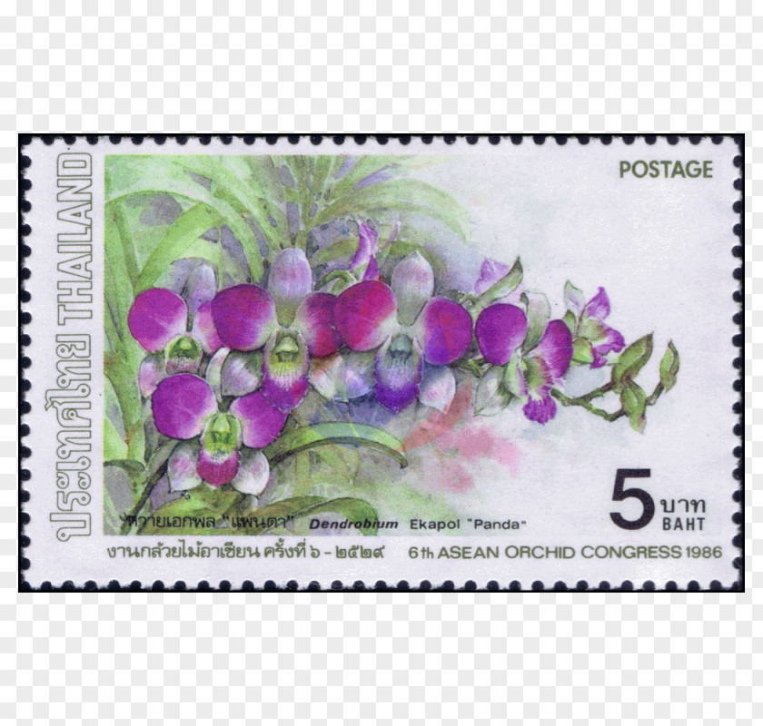Mail Postmark Lavender Lilac Violet Purple Magenta PNG