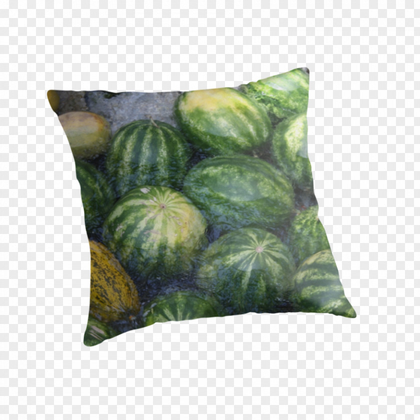 Pillow Cushion Throw Pillows Watermelon Green PNG