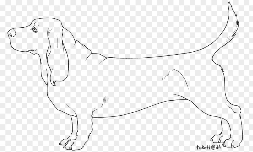 Puppy Dog Breed Beagle Line Art Sketch PNG