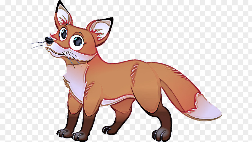 Snout Fox Cartoon Red Swift Clip Art PNG