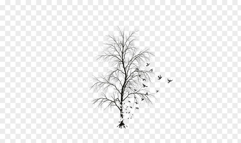 Tree Twig White Leaf Black Pattern PNG