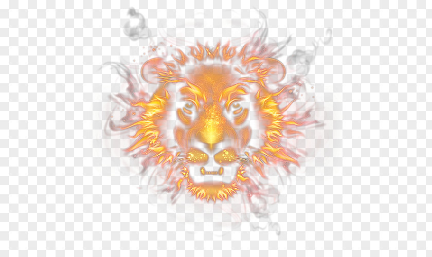 Flame Lion Head Fire PNG