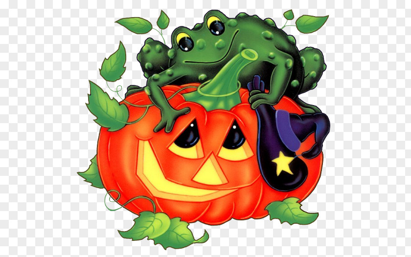 Frog Halloween Clip Art Image Illustration PNG