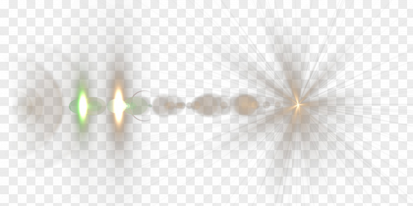 Light Effect Petal Close-up PNG