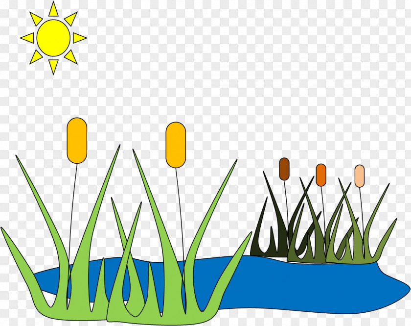 Pomd Meadow Cliparts Pond Clip Art PNG