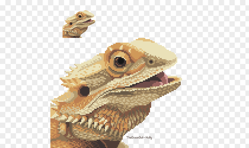 Bearded Dragon Reptile Lizard Dragons Pixel Art PNG