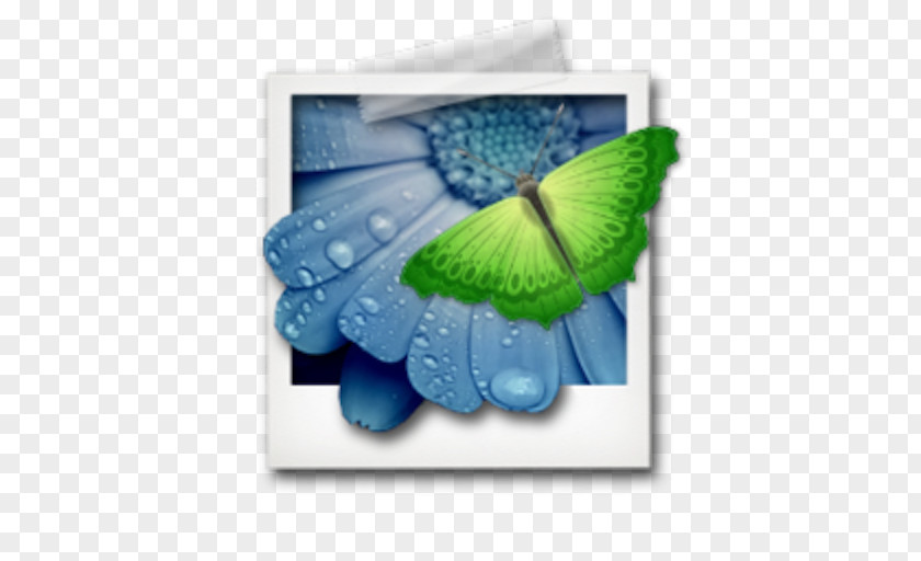 Color Image Viewer MacOS File PNG
