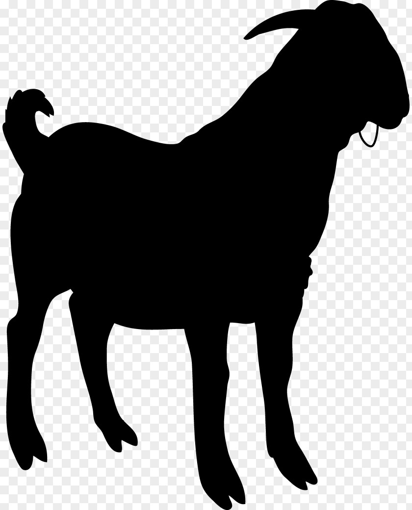 Dog Vector Graphics Clip Art Illustration Image PNG