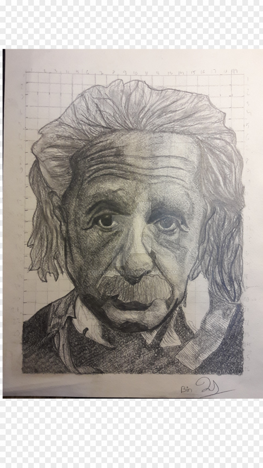 Einstein Self-portrait Drawing Visual Arts PNG
