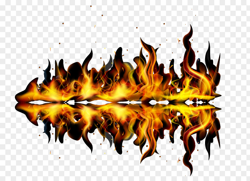 Fire Vector Shapes And Reflections Shape PNG