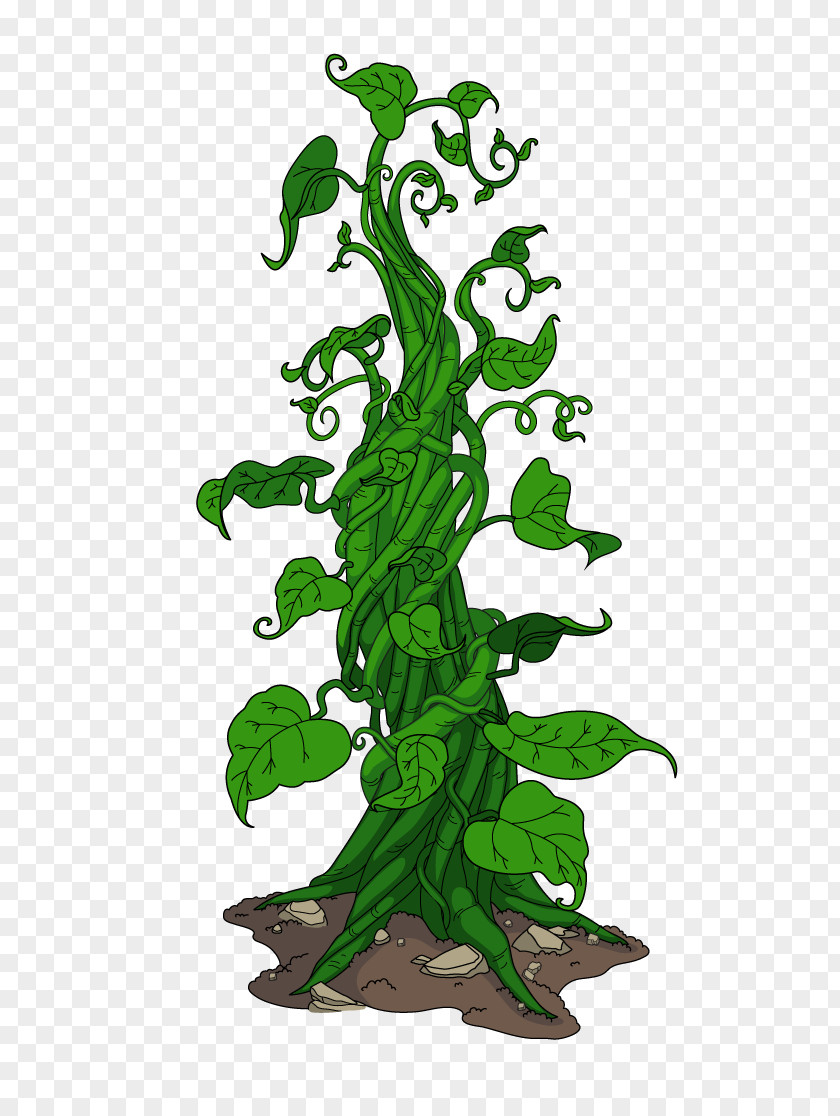 My Family Woody Plant Tree Stem PNG