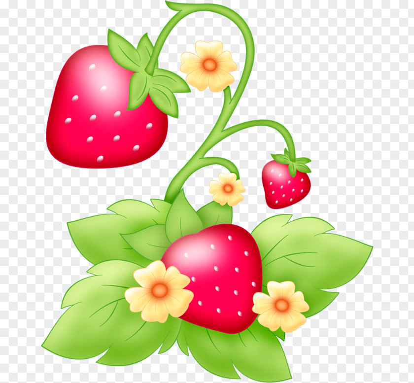 Anthurium Petal Strawberry Shortcake Cartoon PNG