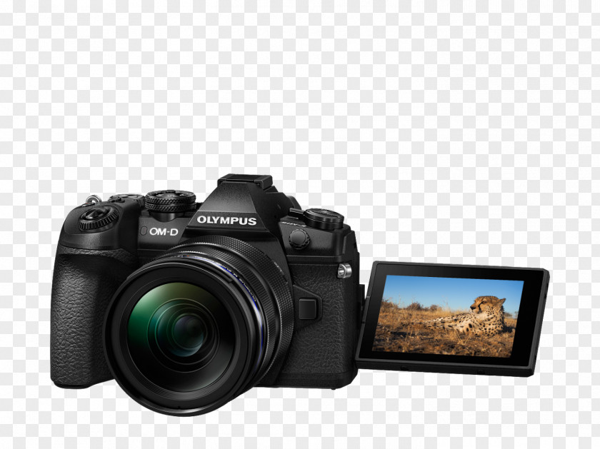 Camera Olympus OM-D E-M1 Mark II E-M5 E-M10 Micro Four Thirds System PNG