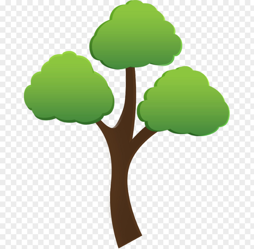 Manvel Tree Care & Removal Quality Service PNG