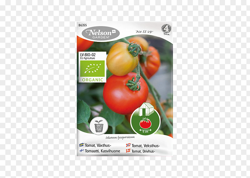 Tomato Organic Food Bruschetta Seed Pea PNG