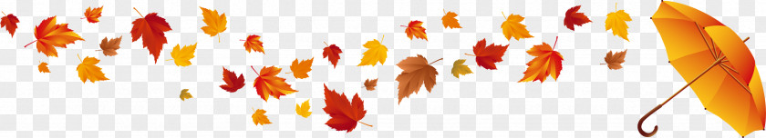 Withered Autumn Leaves Red Maple Leaf Color PNG