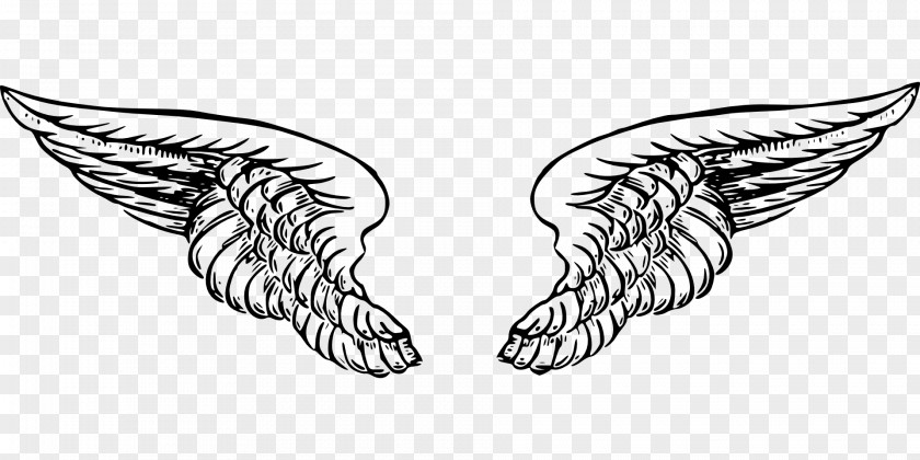 Angel Wings Drawing Clip Art PNG