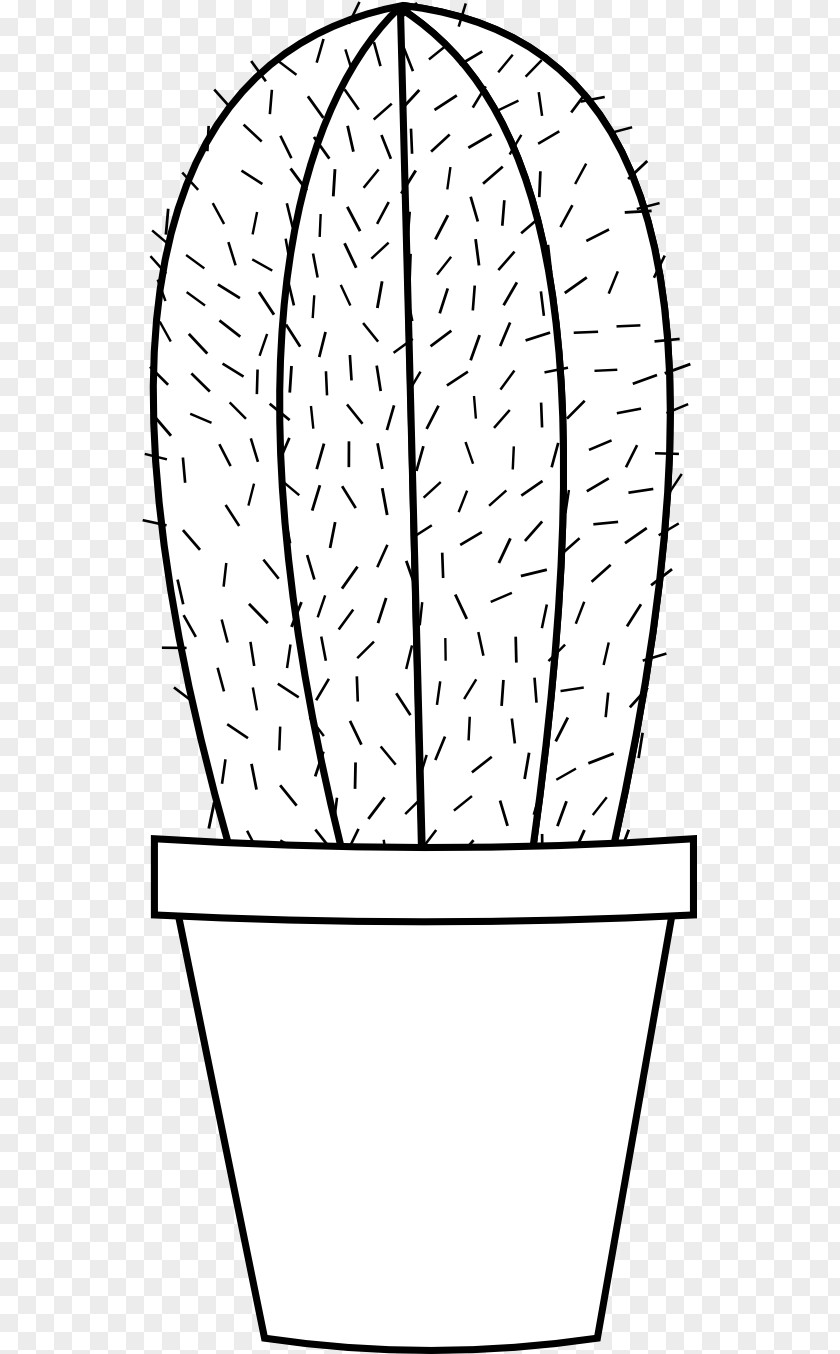 Cartoon Cactus Cactaceae Saguaro Drawing Clip Art PNG