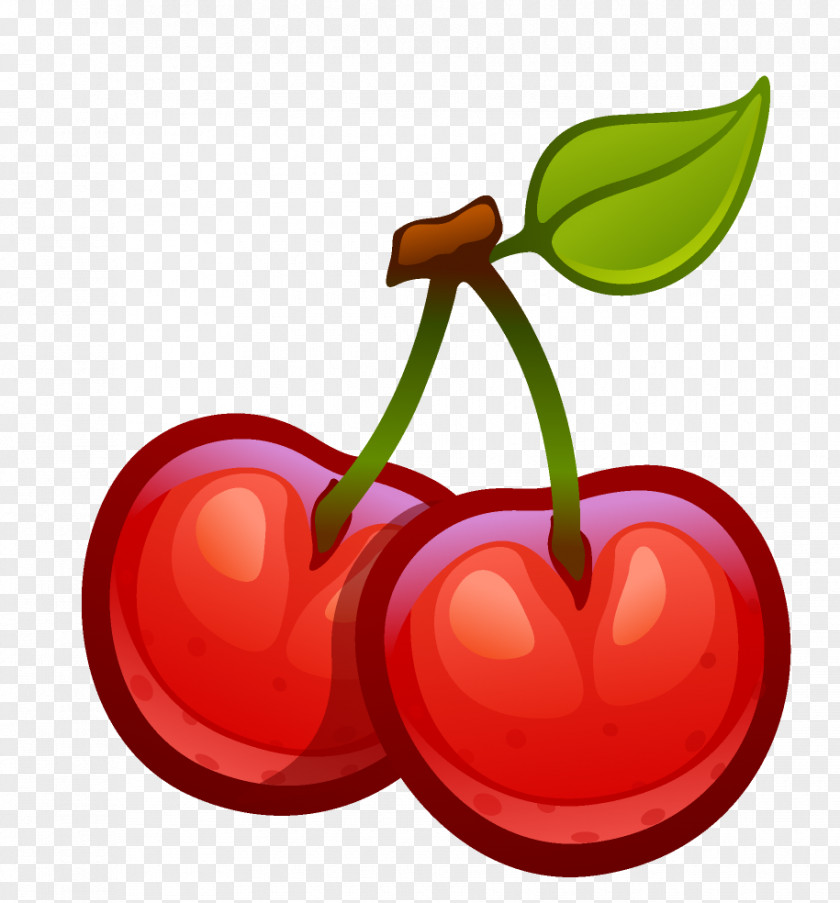 Cherry Cerasus Drawing Clip Art PNG