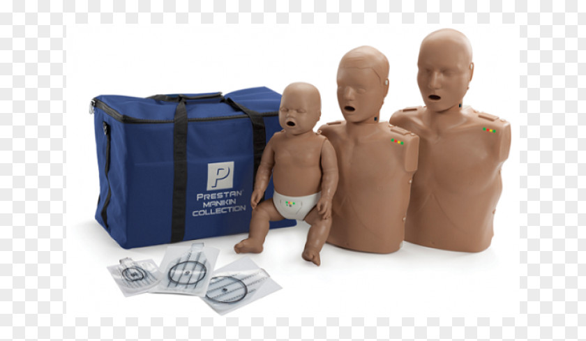 Child Transparent Anatomical Manikin Cardiopulmonary Resuscitation Resusci Anne Automated External Defibrillators Medicine PNG