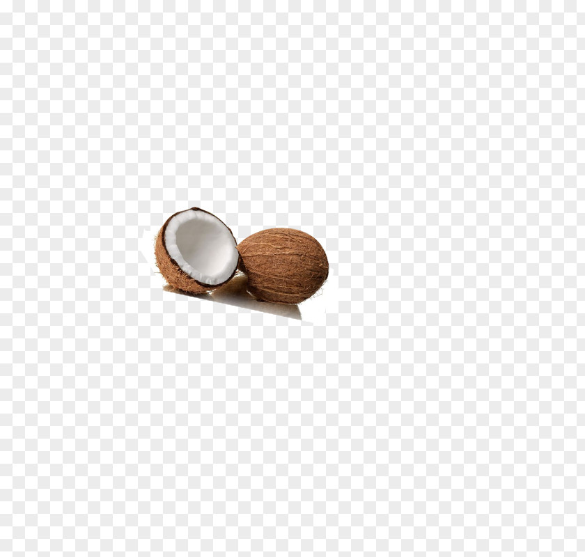 Coconut Flooring PNG