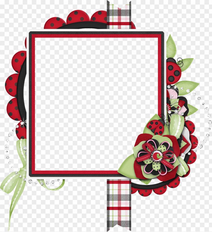 Forbidden Frame Cut Flowers Floral Design Picture Frames PNG