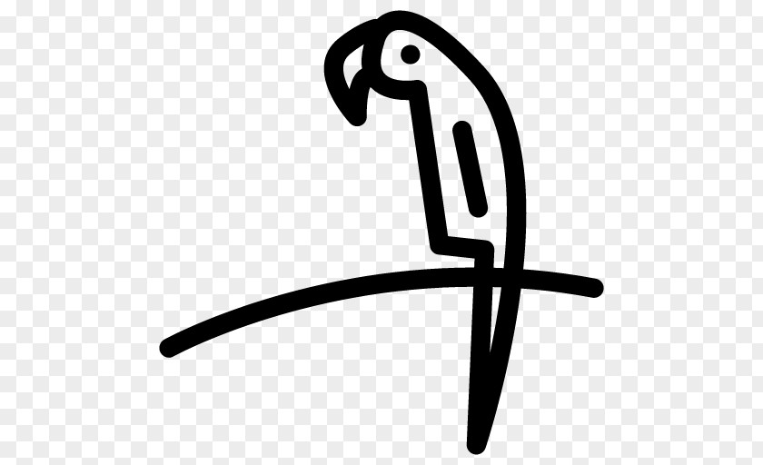 MIAMI CITY Parrot Clip Art PNG