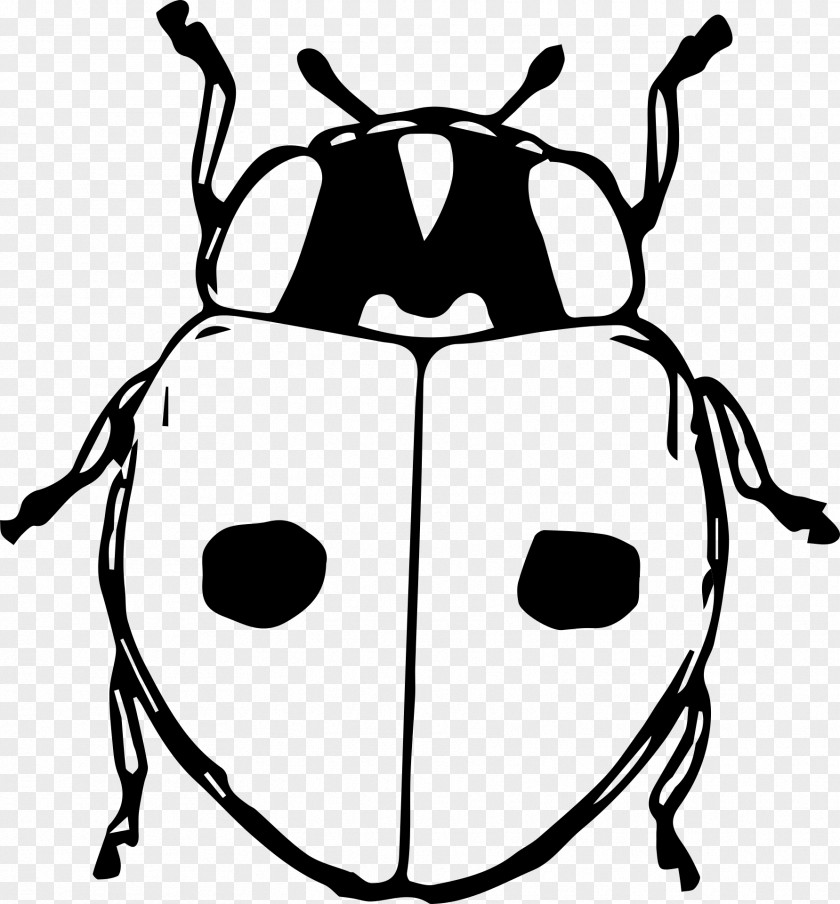 Beetle Ladybird Clip Art PNG