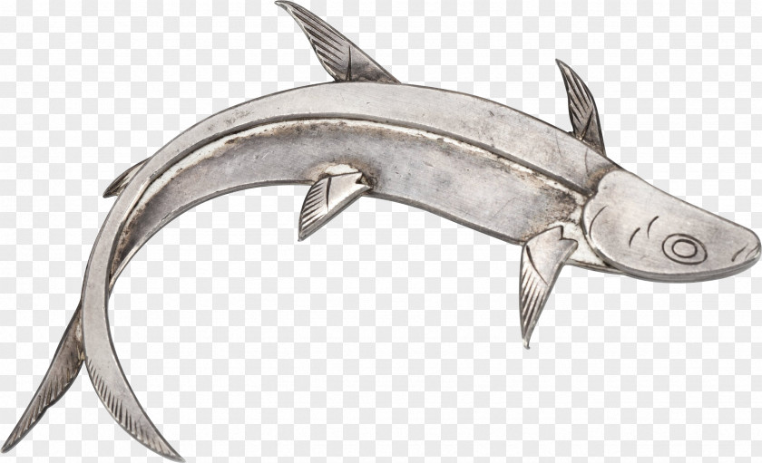 Fish Requiem Sharks Kipper Clip Art PNG