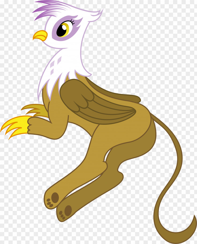 Lion Big Cat Mammal Horse PNG