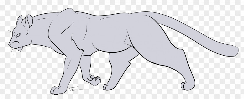 Lion Line Art Big Cat Drawing PNG