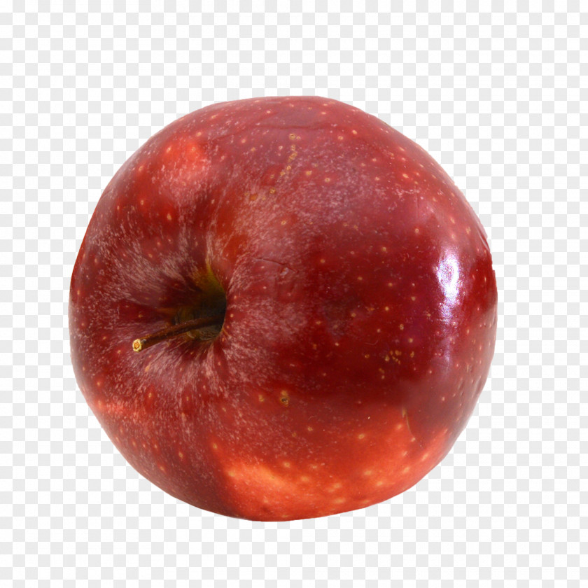 Lying On The Apple IPhone 6S Download PNG