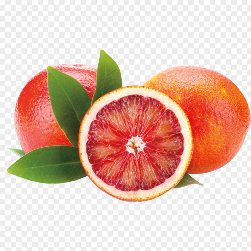 Orange Fruit Blood Juice Grapefruit PNG