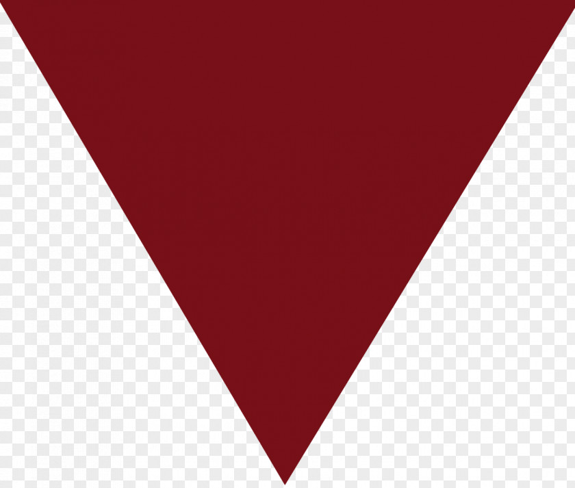 Sun Textum Dachau Concentration Camp Purple Triangle PNG