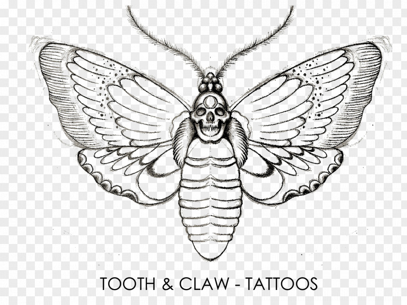Claw Scratch Tattoo Line Art Flash Sketch PNG