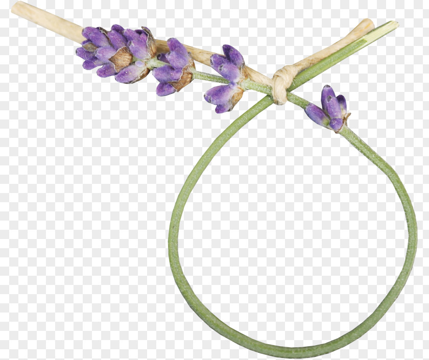 Lavender Label Flower Picture Frames PNG