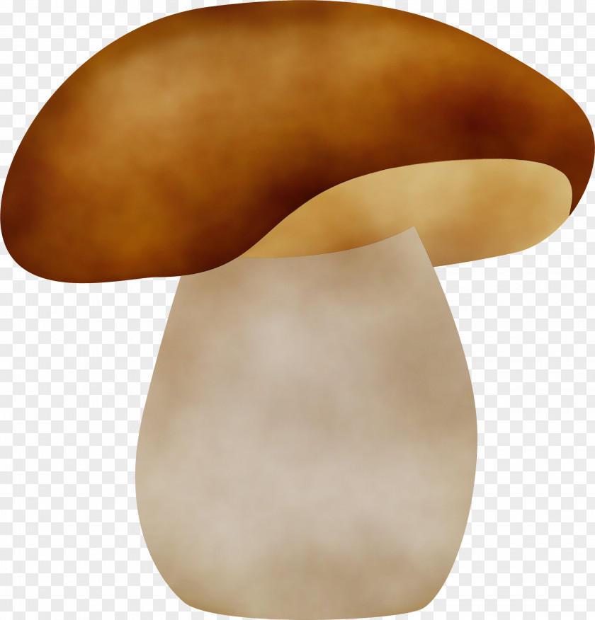 Penny Bun Champignon Mushroom Edible Pleurotus Eryngii Neck PNG