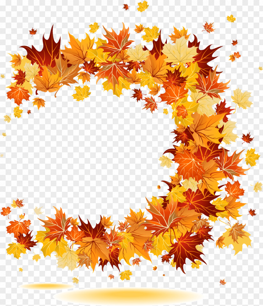 Vector Autumn Leaves Visual Arts Clip Art PNG