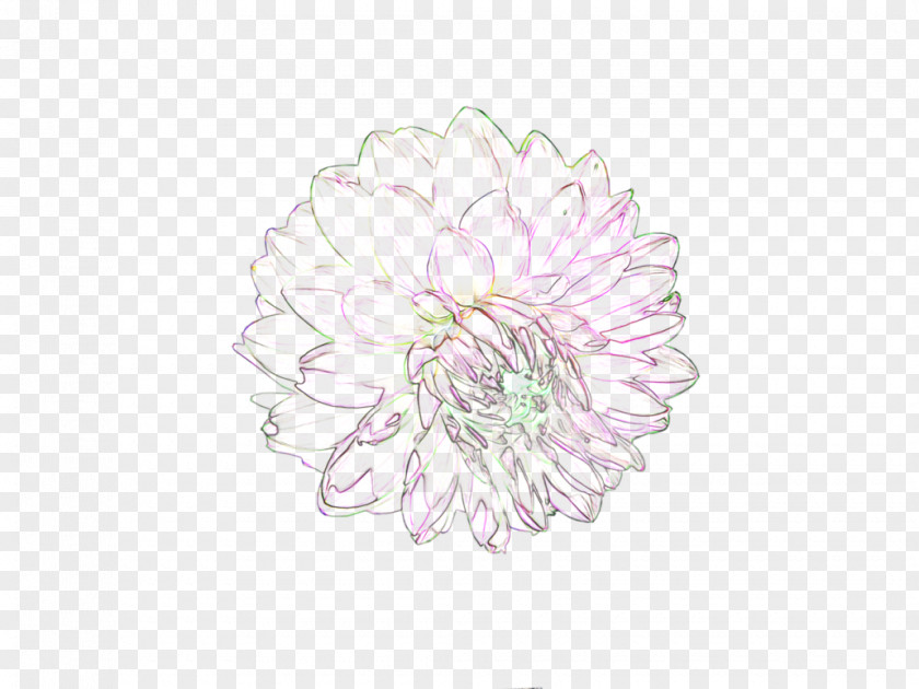 Watercolor White Flower Desktop Wallpaper Photography PNG