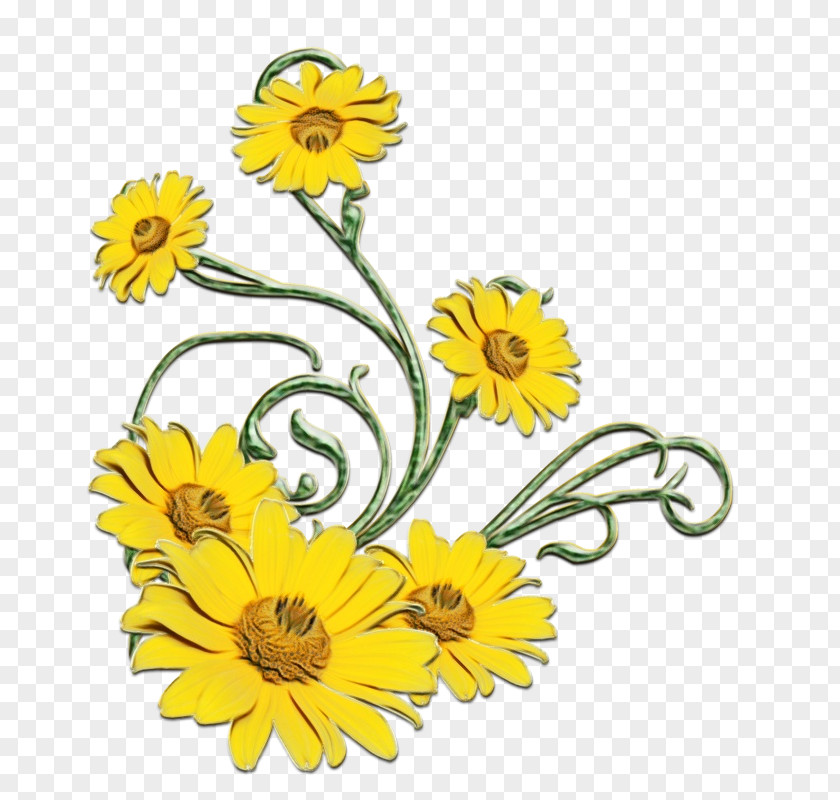 Common Sunflower Donald Duck Daisy Mickey Mouse Minnie PNG