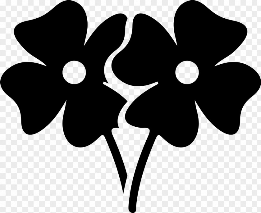 Flower PNG