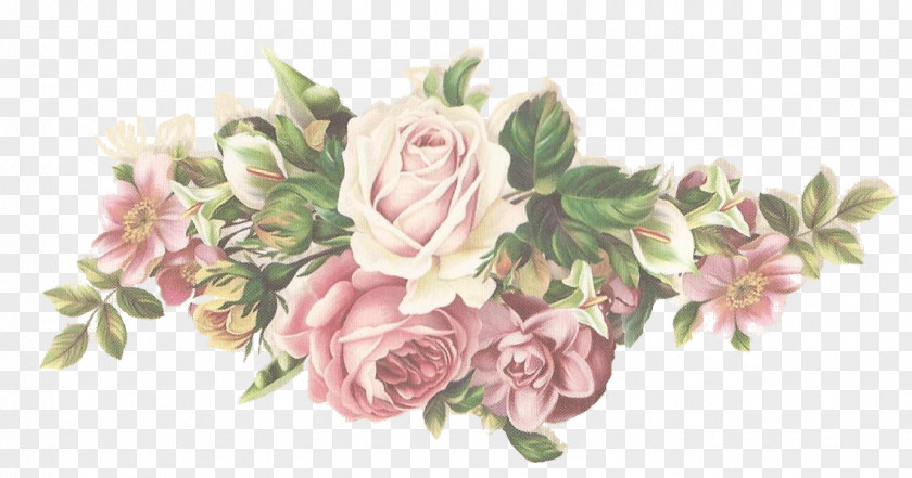 Garden Roses PNG