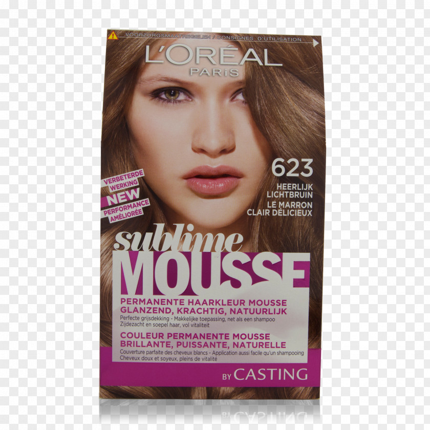 Hair Mousse L'Oréal Human Color Chestnut PNG
