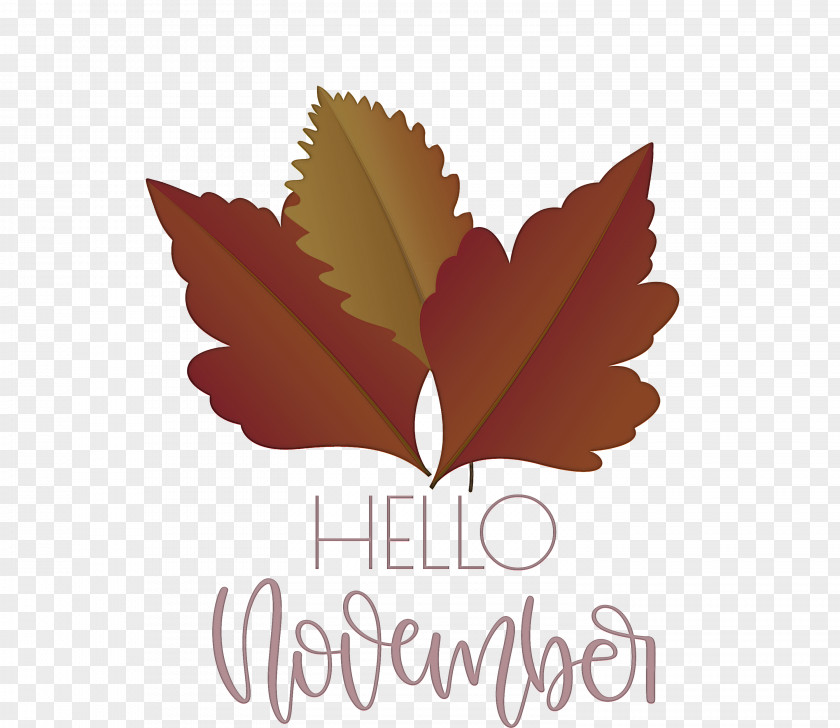 Hello November November PNG