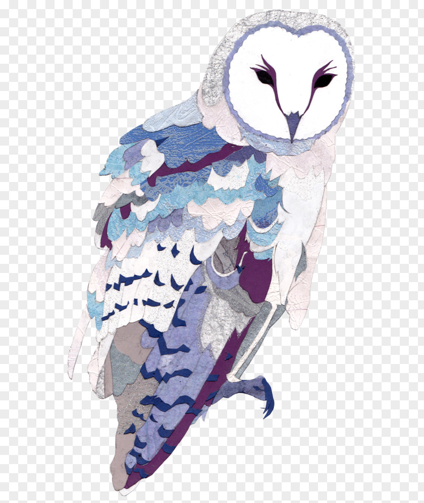 Owl Beak Illustration Feather PNG
