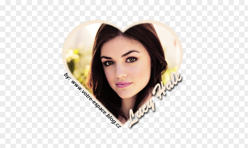 Pretty Little Liars Lucy Hale Eyebrow Hair Coloring Lip PNG