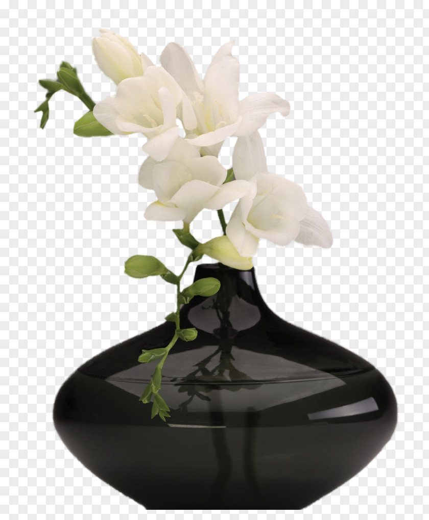Black Vase With White Orchids Picture PNG