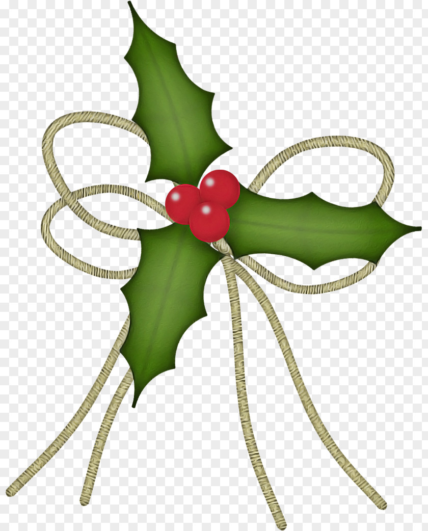 Flower Leaf Holly PNG