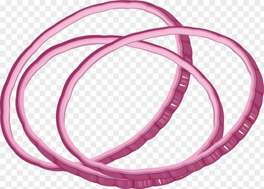 Vector Painted Onion Rings Ring Computer File PNG