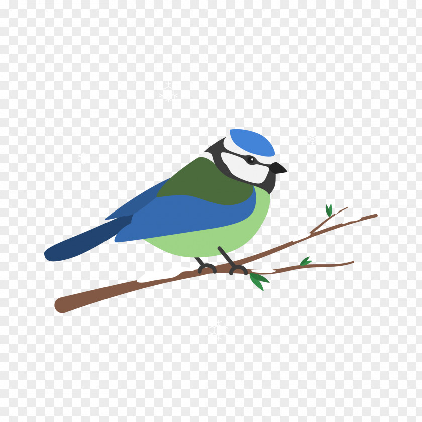 Bird Migration Blue Jay Parrot Image PNG